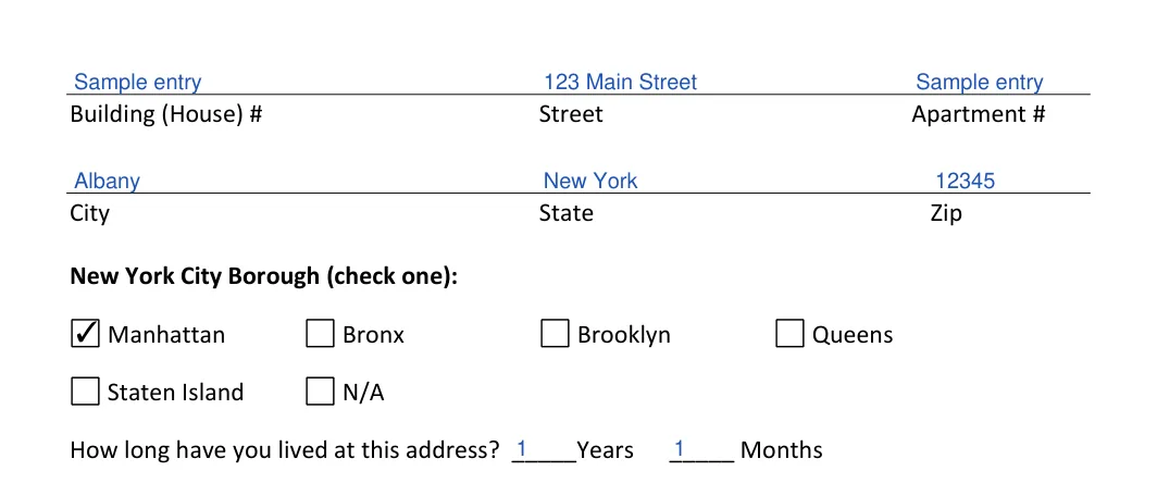 New York New York Rental Application: New York City Borough (check one), filled with sample entries