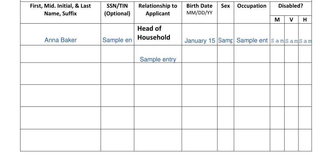 New York New York Rental Application: MM/DD/YY, filled with sample entries