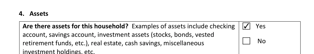 New York New York Rental Application: 4. Assets, filled with sample entries