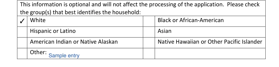 New York New York Rental Application: the group(s) that best identifies the household, filled with sample entries