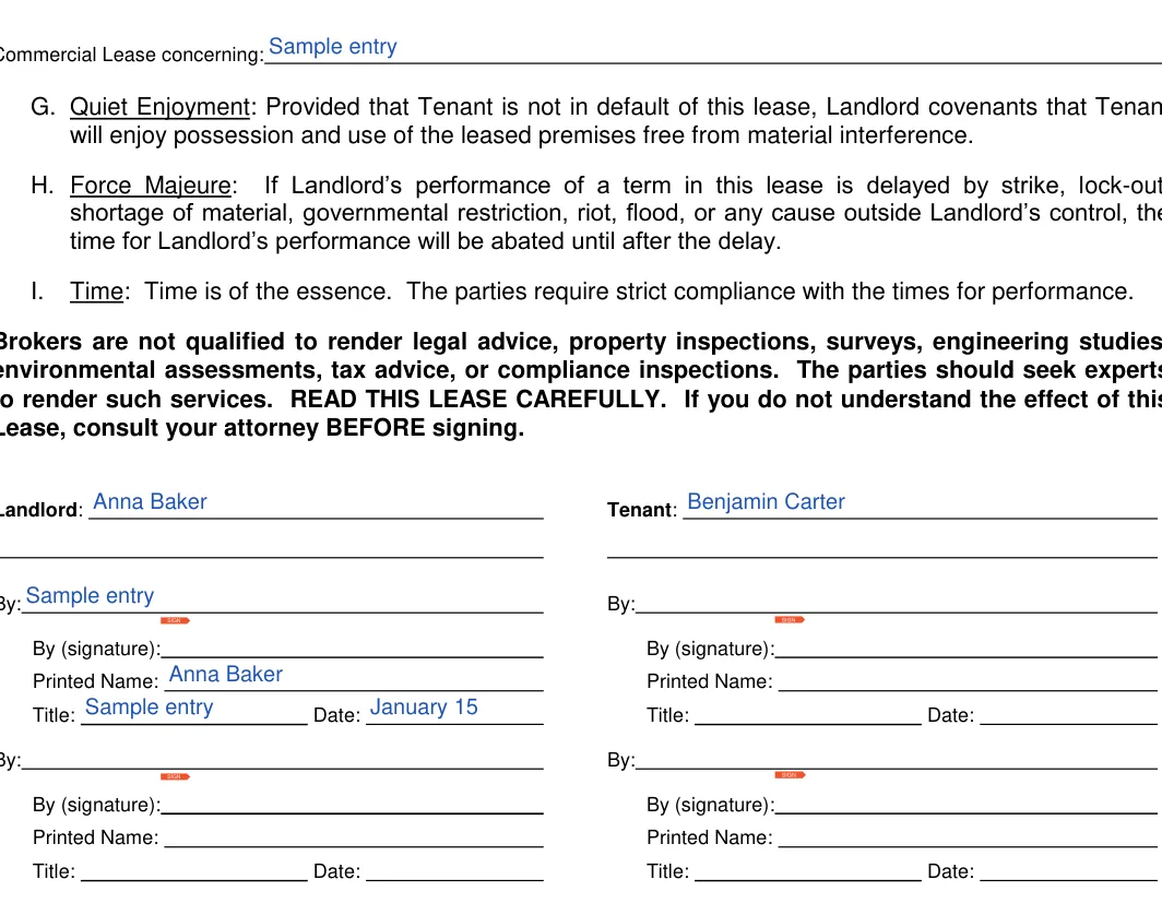 Texas commercial lease agreement form, step 15: Signatures, filled with sample entries