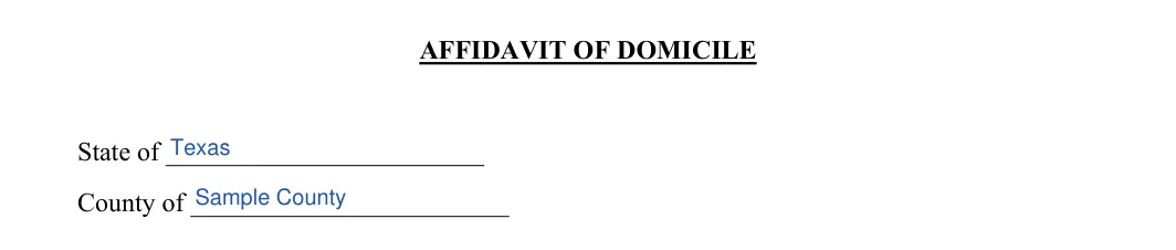Affidavit of Domicile: AFFIDAVIT OF DOMICILE, filled with sample entries
