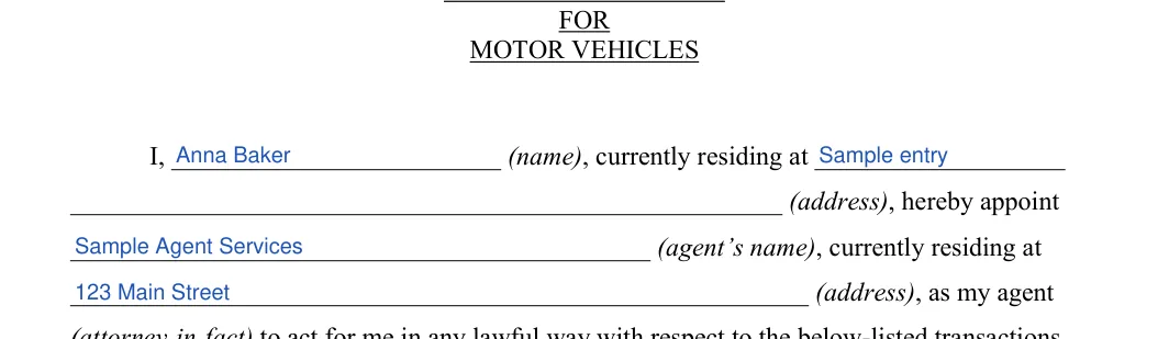 Motor Vehicle Power of Attorney: MOTOR VEHICLES, filled with sample entries