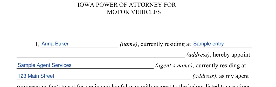 Iowa Motor Vehicle Power of Attorney: MOTOR VEHICLES, filled with sample entries