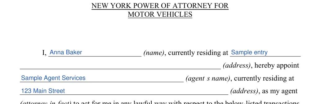 New York Motor Vehicle Power of Attorney: MOTOR VEHICLES, filled with sample entries