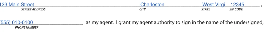 West Virginia Motor Vehicle Power of Attorney: CITY, filled with sample entries