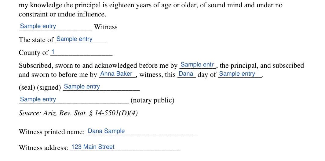 Arizona general power of attorney: Poa execution az blocks.6.blank, Poa execution az blocks.7.the state of and more, filled with sample entries