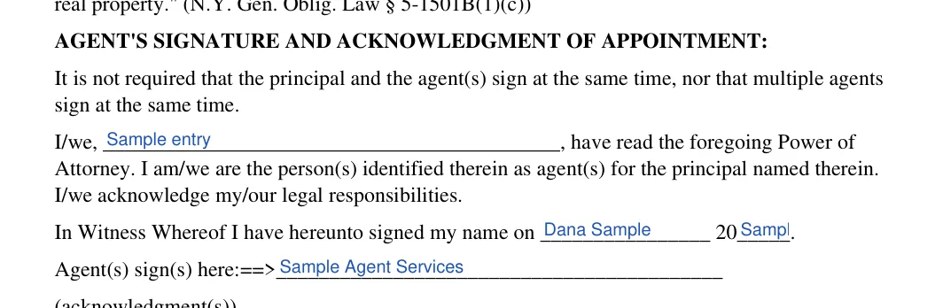 New York general power of attorney: AGENT'S SIGNATURE AND ACKNOWLEDGMENT OF APPOINTMENT, filled with sample entries