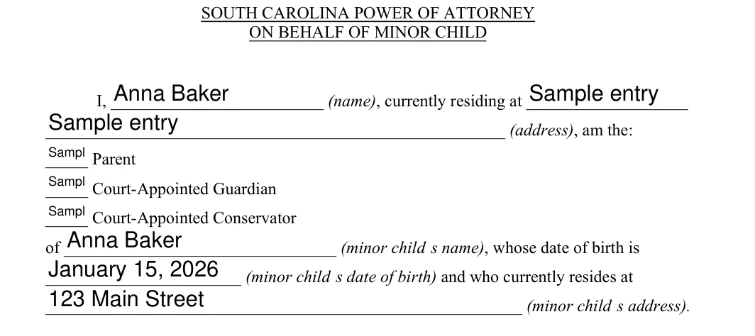 South Carolina South Carolina Minor Child Power of Attorney: ON BEHALF OF MINOR CHILD, filled with sample entries