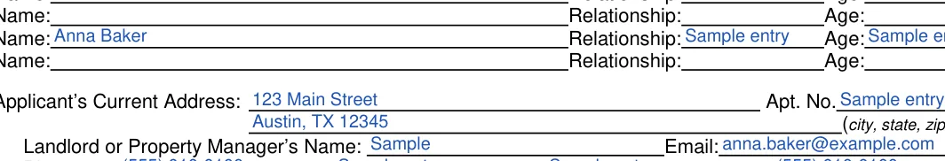 Texas Texas Rental Application: Age, filled with sample entries