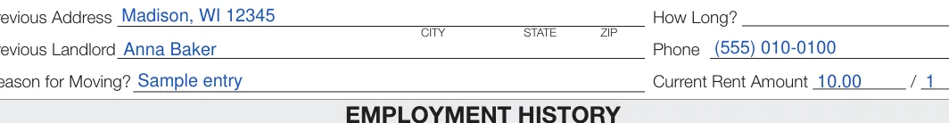Wisconsin Rental Application: CITY, filled with sample entries
