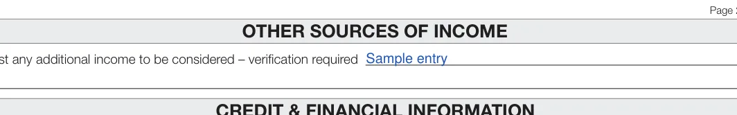 Wisconsin Rental Application: OTHER SOURCES OF INCOME, filled with sample entries