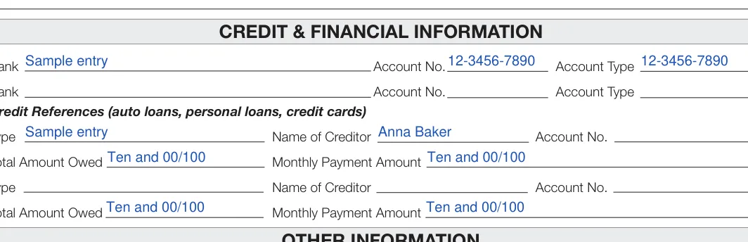 Wisconsin Rental Application: CREDIT & FINANCIAL INFORMATION, filled with sample entries