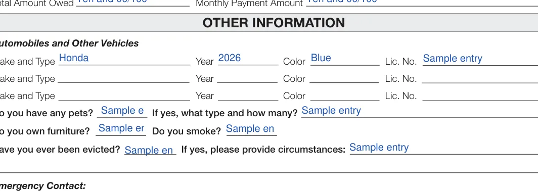 Wisconsin Rental Application: OTHER INFORMATION, filled with sample entries
