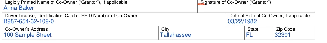 Florida FLHSMV Power of Attorney (HSMV 82053): Co-Owner (Grantor), if applicable, filled with sample entries
