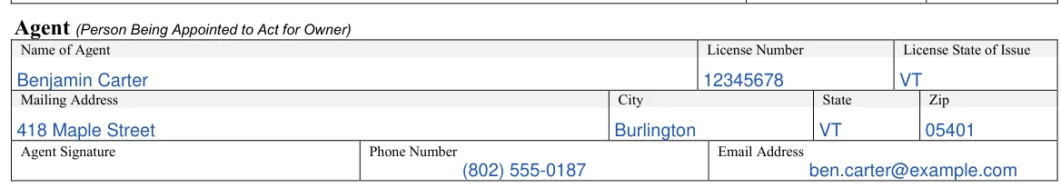 Vermont VN-101 Vehicle Power of Attorney: Agent (Person Being Appointed to Act for Owner), filled with sample entries