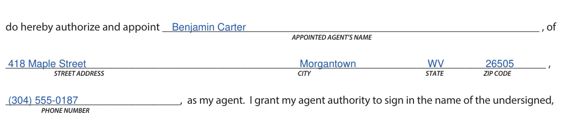 West Virginia DMV-9-TR Limited/Restricted Power of Attorney: Do hereby authorize and appoint, the agent, filled with sample entries