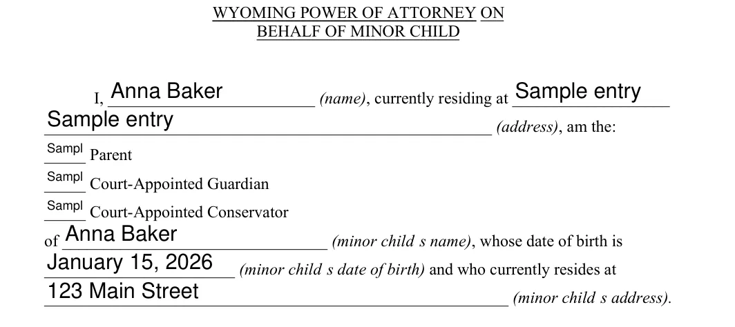 Wyoming Wyoming Minor Child Power of Attorney: BEHALF OF MINOR CHILD, filled with sample entries