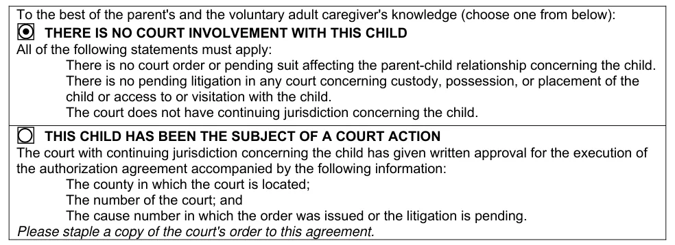 Texas Authorization Agreement for Voluntary Adult Caregiver (DFPS Form 2638): Court involvement (choose one), filled with sample entries
