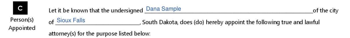 South Dakota MVD Form 1023 Power of Attorney: C. Person(s) Appointed: the undersigned and the city, filled with sample entries
