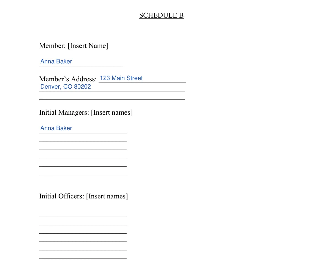 Colorado LLC operating agreement: schedule b member managers officers, filled with sample entries