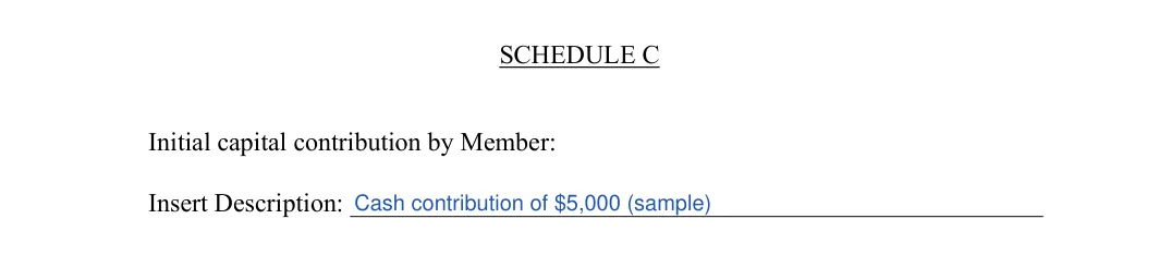 Colorado LLC operating agreement: schedule c initial capital contribution, filled with sample entries