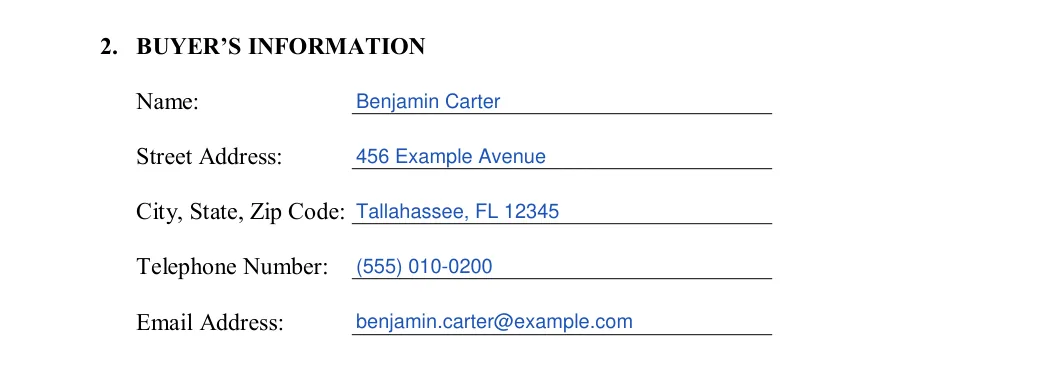 Florida motor vehicle bill of sale: buyer's information, filled with sample entries