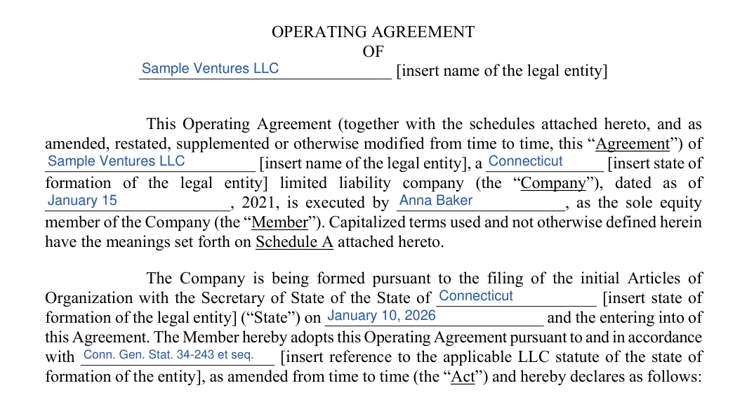 Connecticut LLC operating agreement: preamble, filled with sample entries