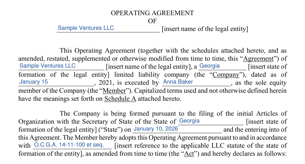 Georgia LLC operating agreement: preamble, filled with sample entries
