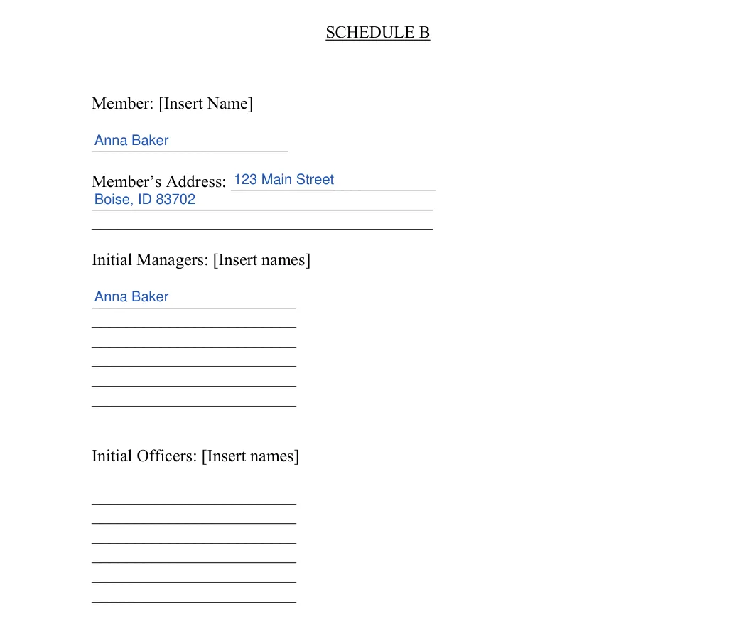 Idaho LLC operating agreement: schedule b member managers officers, filled with sample entries
