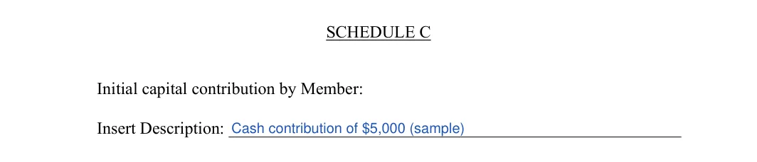Idaho LLC operating agreement: schedule c initial capital contribution, filled with sample entries