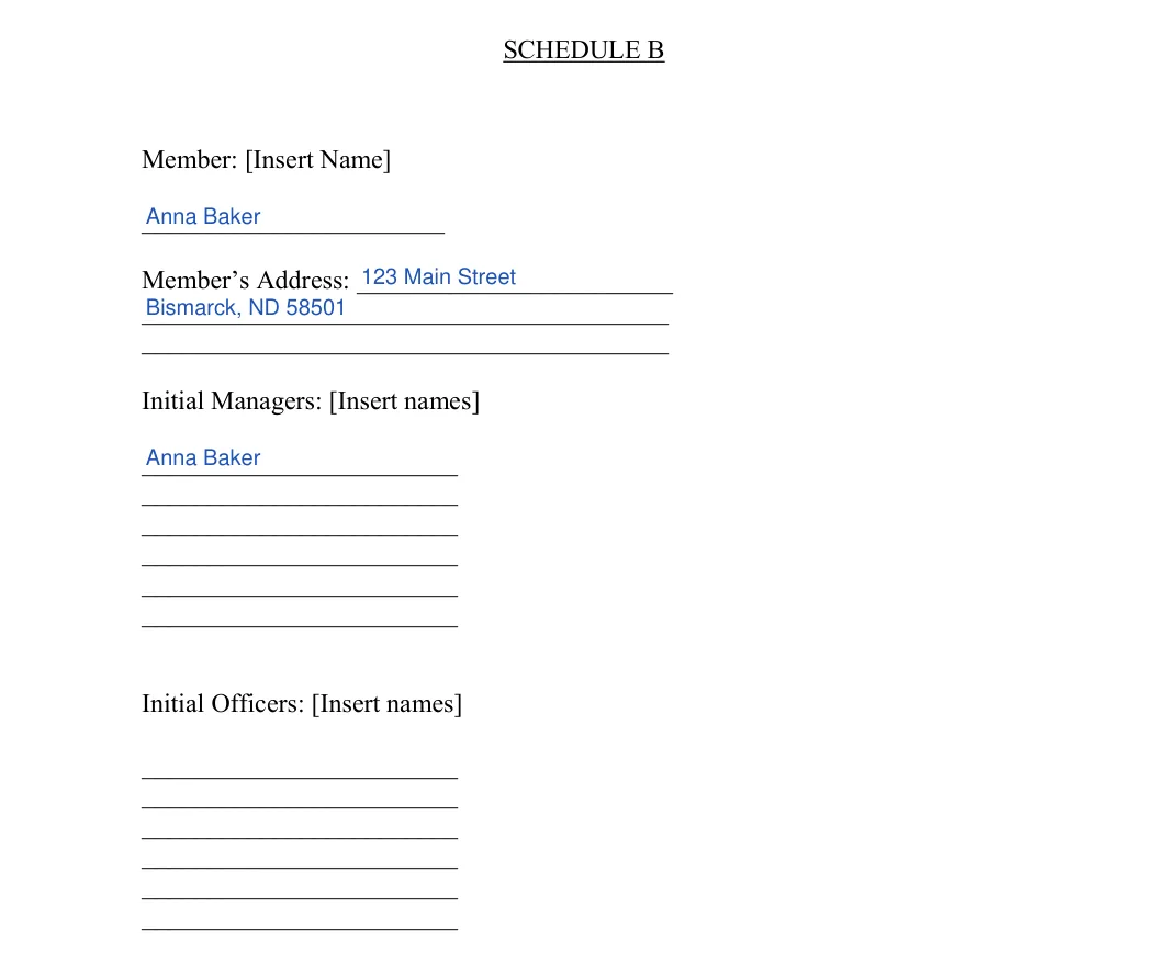 North Dakota LLC operating agreement: schedule b member managers officers, filled with sample entries