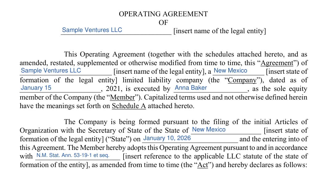 New Mexico LLC operating agreement: preamble, filled with sample entries