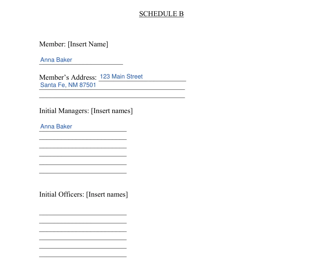 New Mexico LLC operating agreement: schedule b member managers officers, filled with sample entries