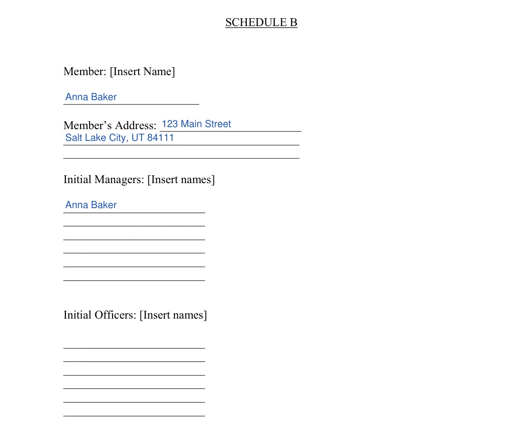 Utah LLC operating agreement: schedule b member managers officers, filled with sample entries