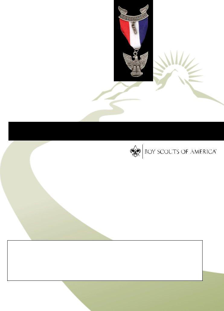 Eagle Project Workbook Form ≡ Fill Out Printable PDF Forms Online