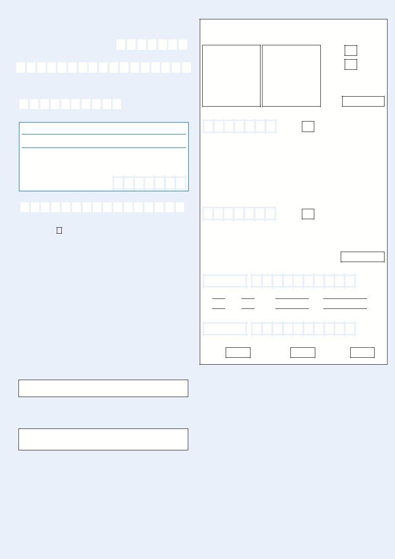 Editable V317 Form Fill Out Printable PDF Forms Online