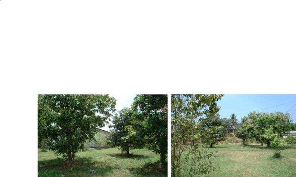 HAMDARD MEDICINE BOOK IN URDU PDF FREE DOWNLOAD IN HINDI 2021 visual data 7