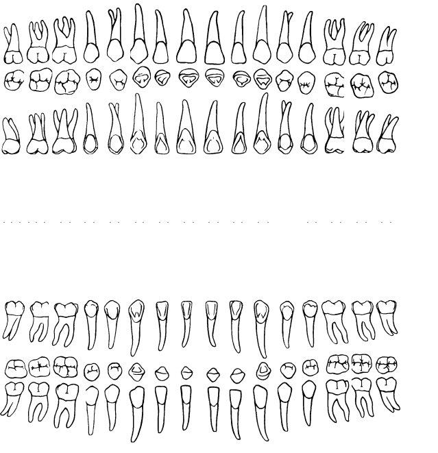 Periodontal Chart Form ≡ Fill Out Printable PDF Forms Online