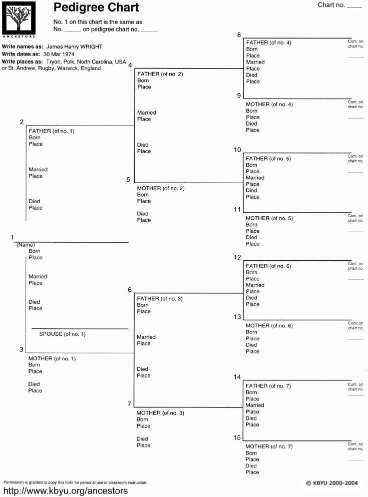 Puppy Pedigree Template Form ≡ Fill Out Printable PDF Forms Online