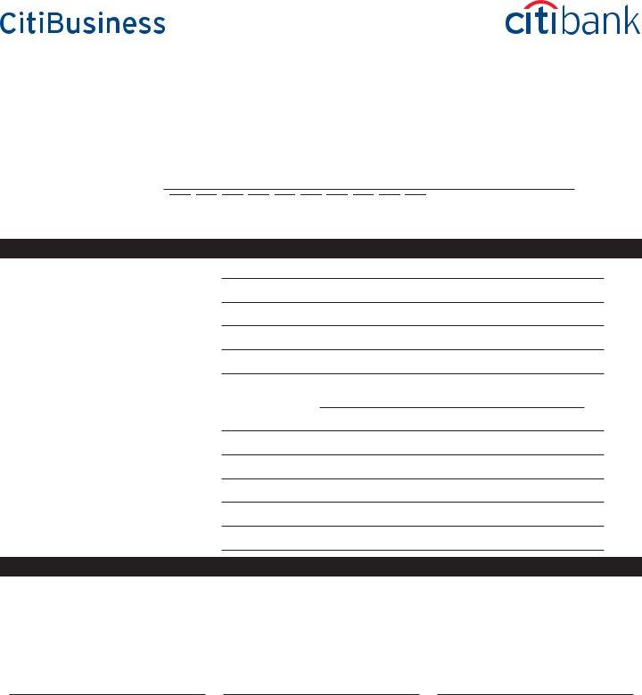 citibank-deposit-slip-fill-out-printable-pdf-forms-online