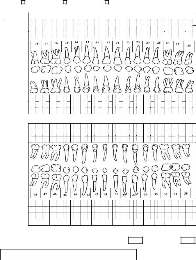 Periodontal Charting Template