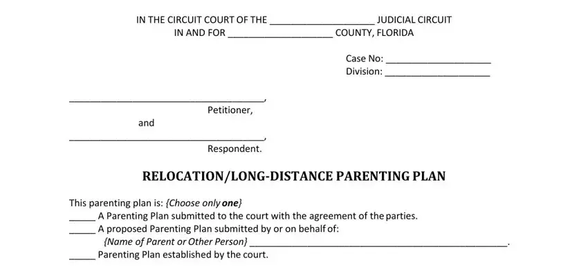 Name of Parent or Other Person , Case No  Division , and IN AND FOR  COUNTY FLORIDA in long distance parenting plan template