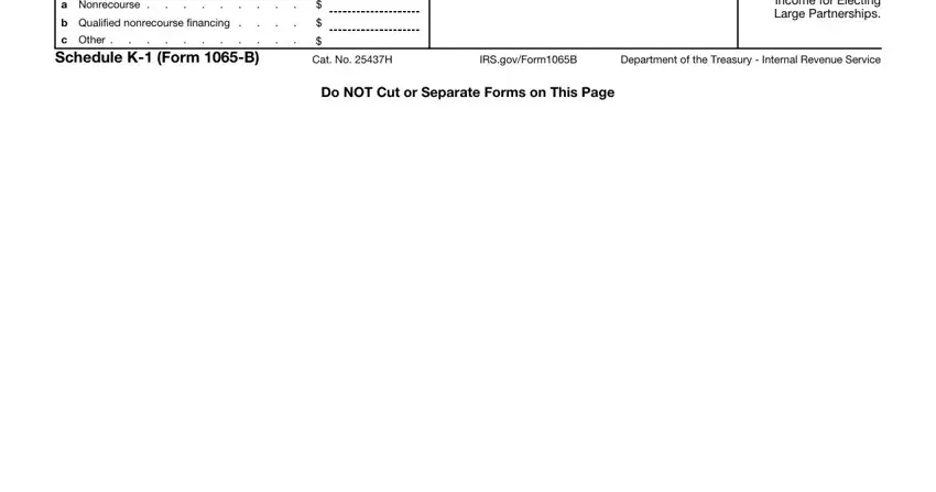 schedule k 1 1065 b form completion process outlined (step 2)