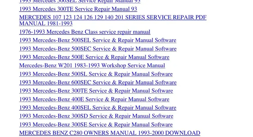Filling in segment 4 of 300e repair 1993