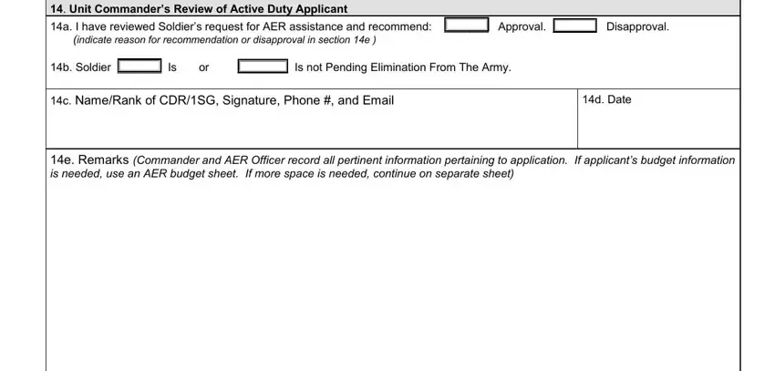 The best way to fill in aer explanatory army step 4