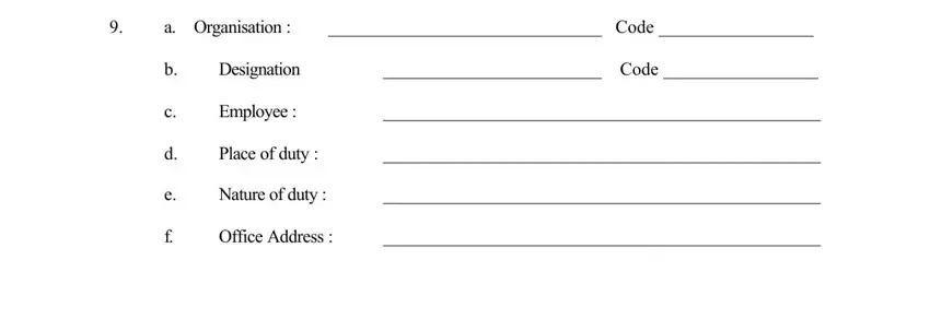 Place of duty , Designation, and d e of airport entry pass