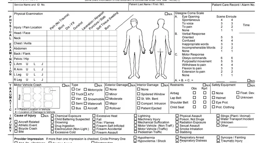 Pelvis  Hip, Patient Care Record  Alarm No, and Head  Face of patient report form ambulance
