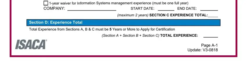 Page A Update V, START DATE, and Total Experience from Sections A B of cism applicaton form