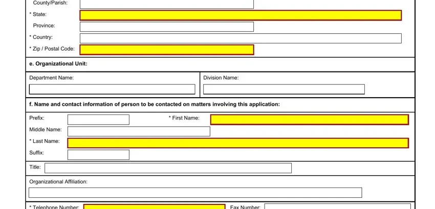 Stage # 2 in filling in sf424 fillable form